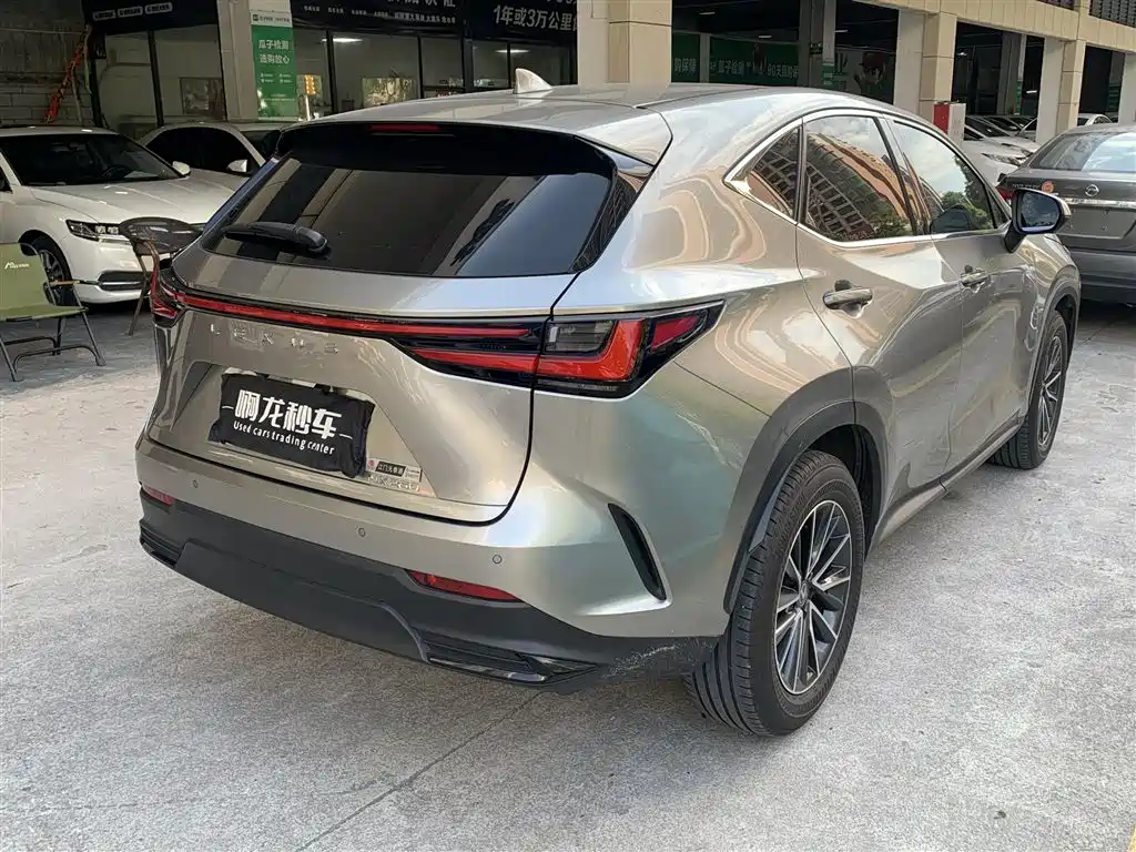 Lexus NX 2024 2023 260 FWD Joy Creation Edition
