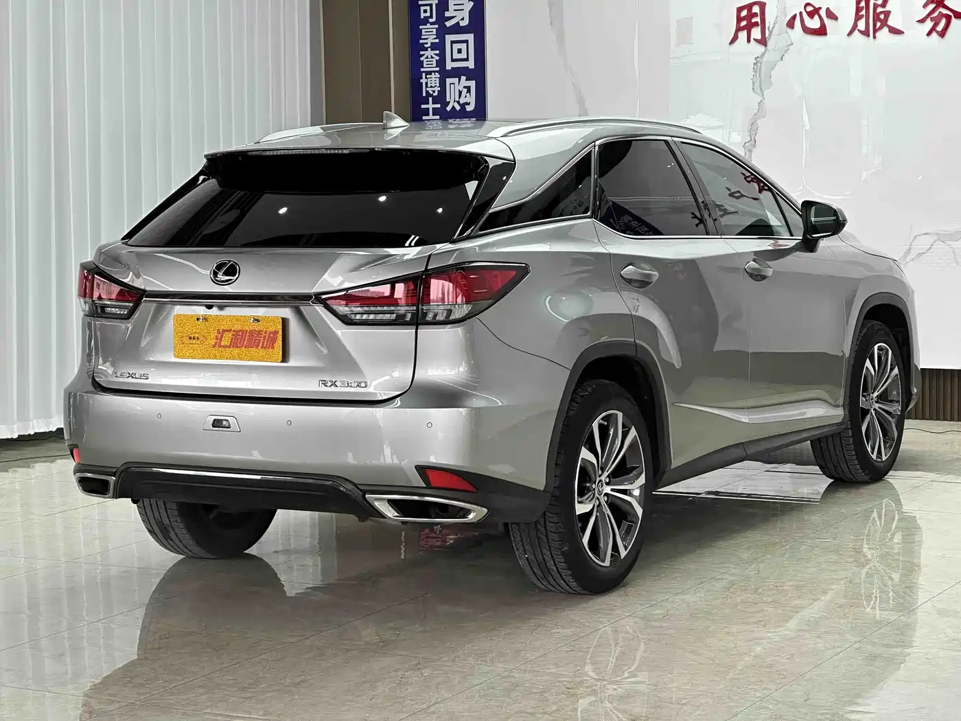 Lexus RX 2021 300 AWD Special Edition фото 20