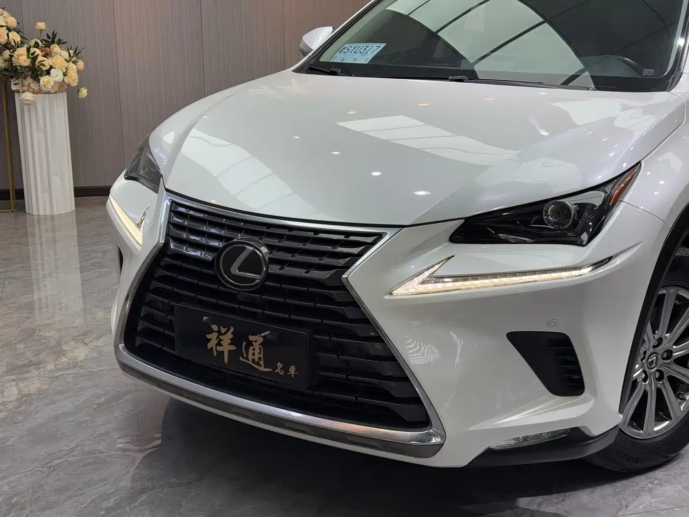Lexus NX 2020 200 AWD F Sport China VI фото 28