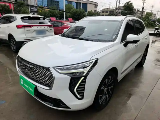  Haval Haval First Love 2021 1.5T Automatic Junior Edition