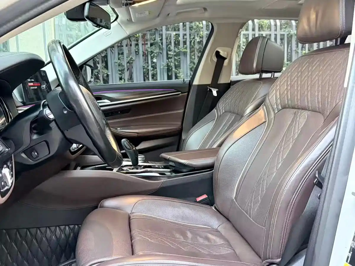 BMW 5 SERIES NEW ENERGY