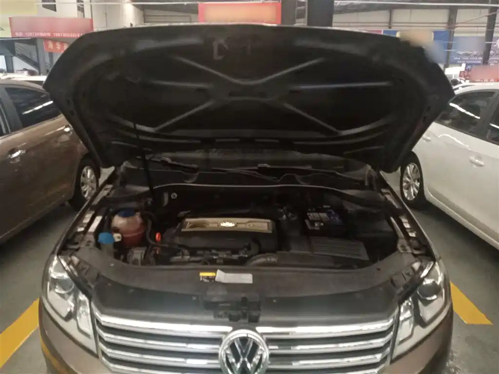 Volkswagen Magotan 2015 1.8TSI Luxury фото 20