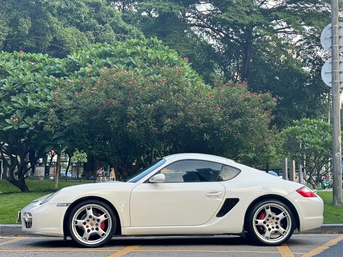 Porsche Cayman 2007