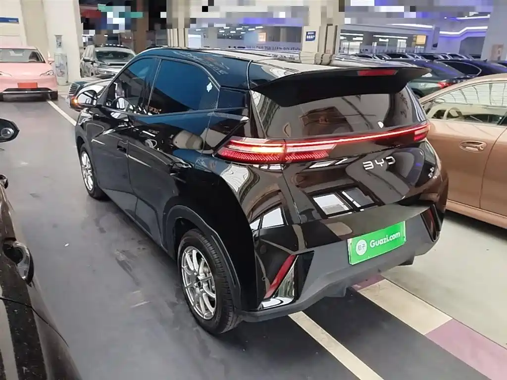 BYD Seagull 2024 Glory Edition 305km Vitality Edition фото 5