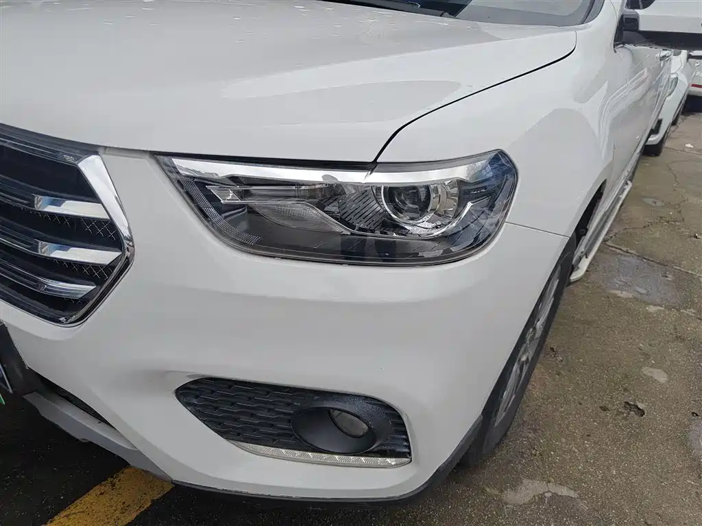 Haval H6 2018 Blue Label Sport 1.5T Automatic 2WD Elite фото 24