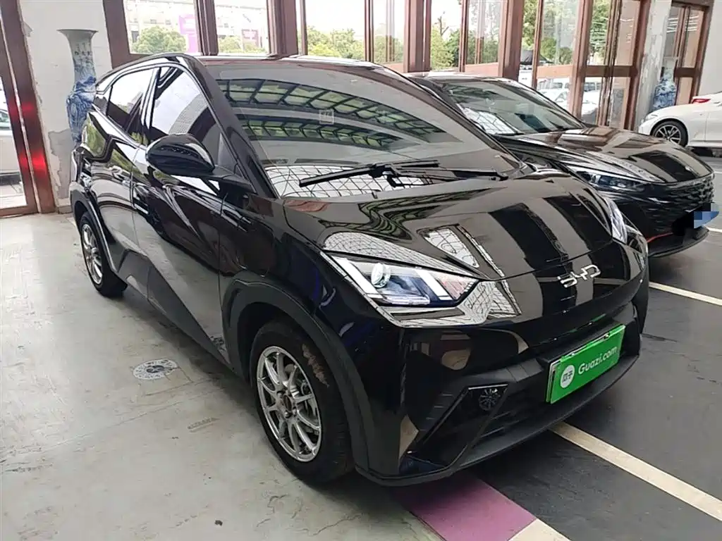 BYD Seagull 2024 Glory Edition 305km Vitality Edition фото 4
