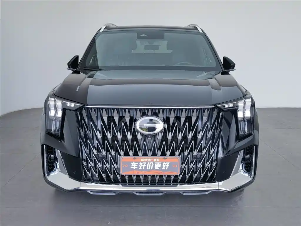 GAC Trumpchi Trumpchi GS8 2022 Dual Engine Series 2.0TM 2WD Premium Edition (7-Seater) фото 3