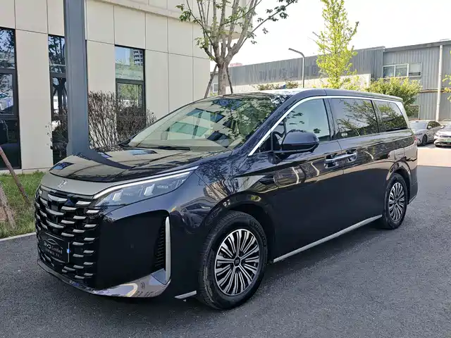 BYD Xia DM-i 1.5T 180km, Совершенство