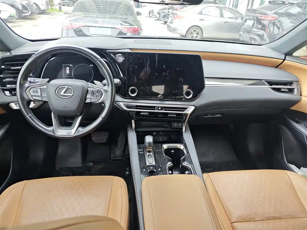 Фото 7 - Lexus RX