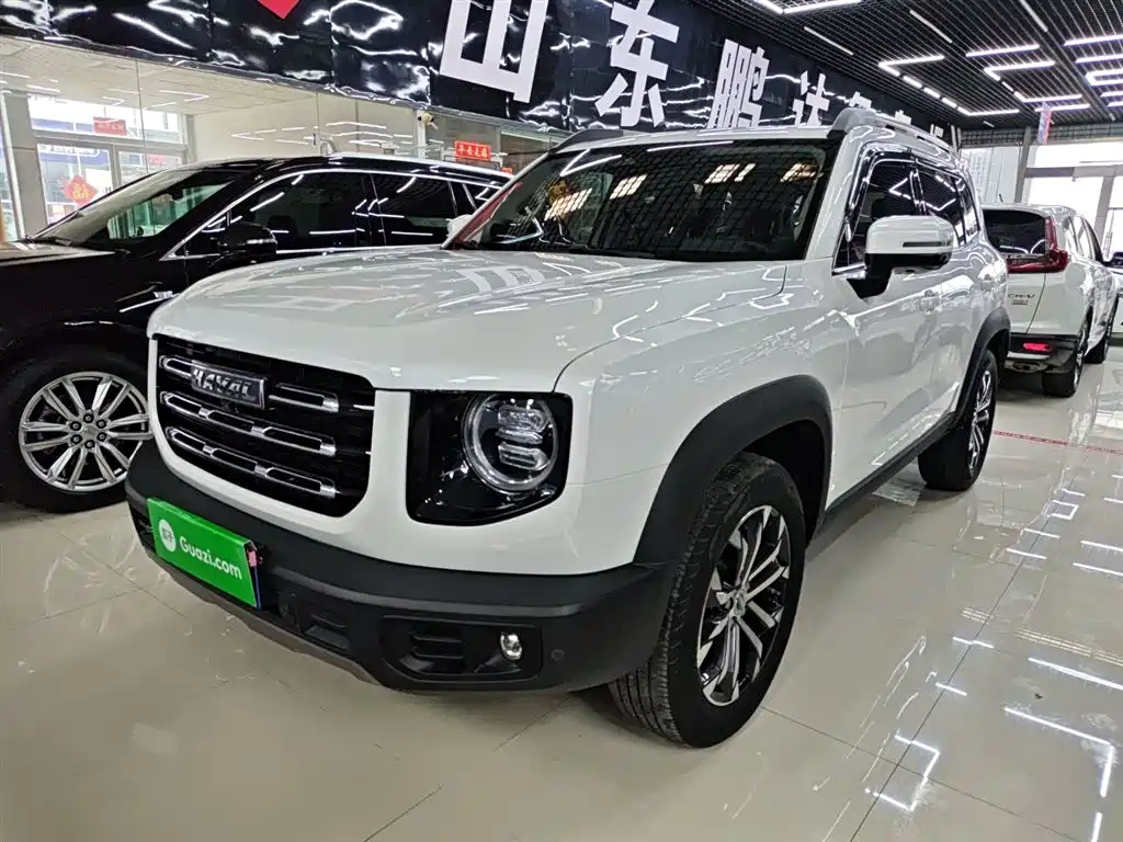 Haval Big Dog 2022 1.5T DCT FWD Border Collie Edition