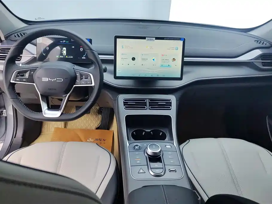 BYD Destroyer 05 2024 Glory Edition DM-i 55KM Luxury фото 12