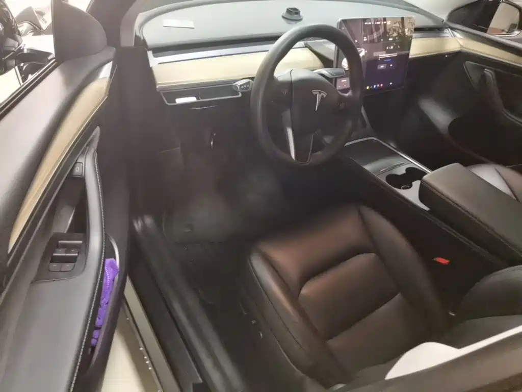 Tesla Model Y 2021 2021 Standard Range Rear-Wheel Drive