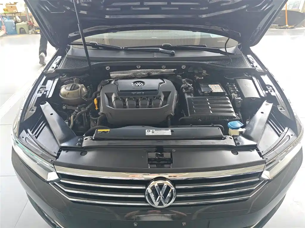 Volkswagen Magotan 2019 330TSI DSG Luxury Class China VI фото 20