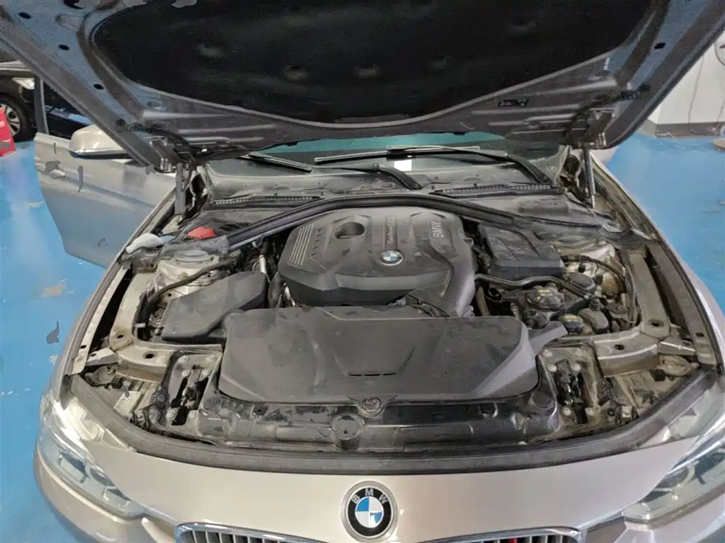 BMW 3 Series 2019 320Li Fashion Type фото 20