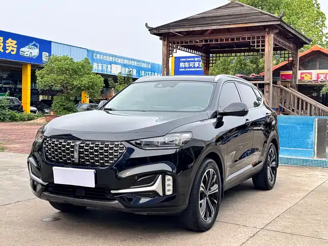 WEI PAI WEI BRAND VV6