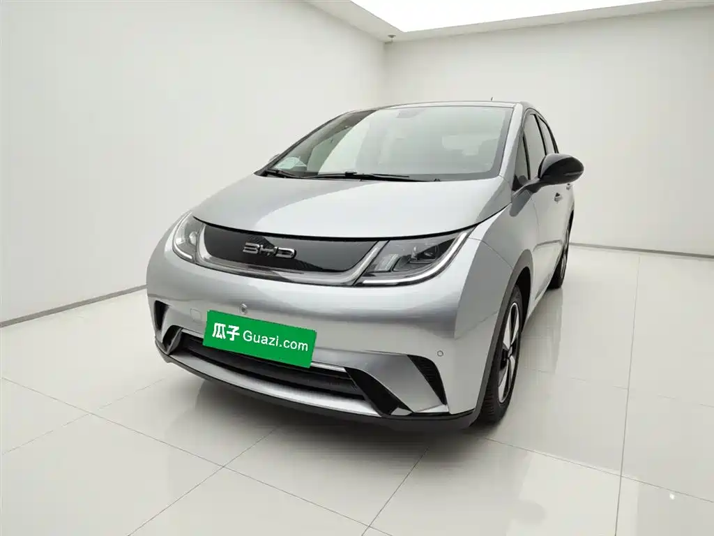 BYD Dolphin 2023 420km Fashion Edition фото 2