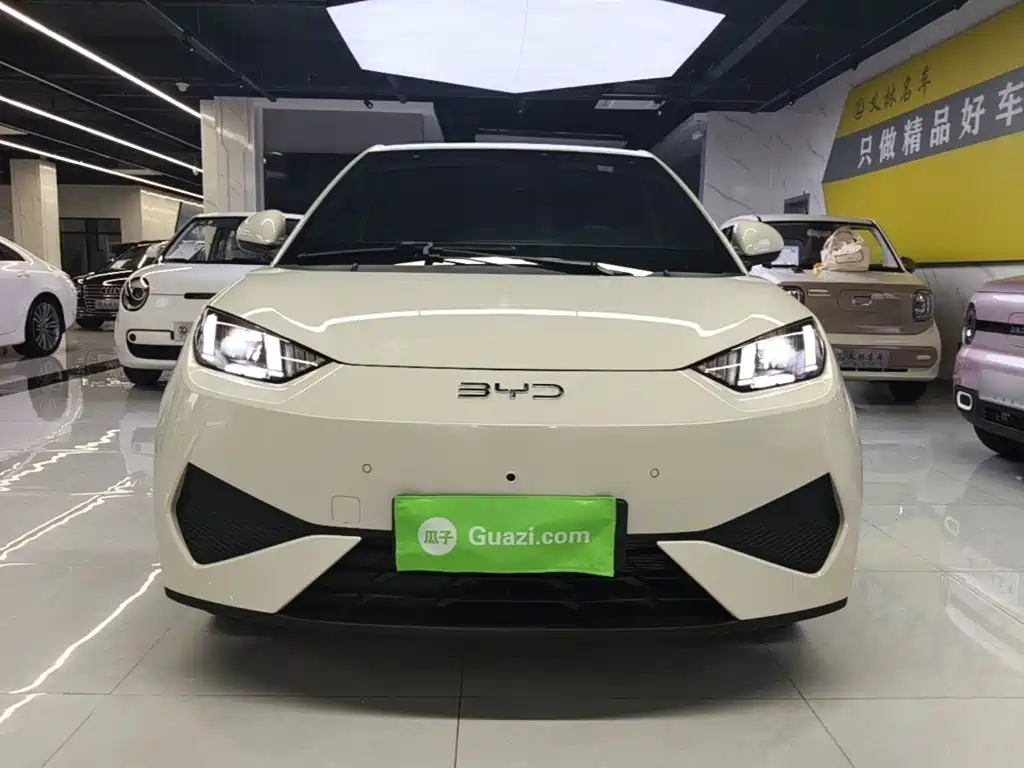 2026 BYD Seagull