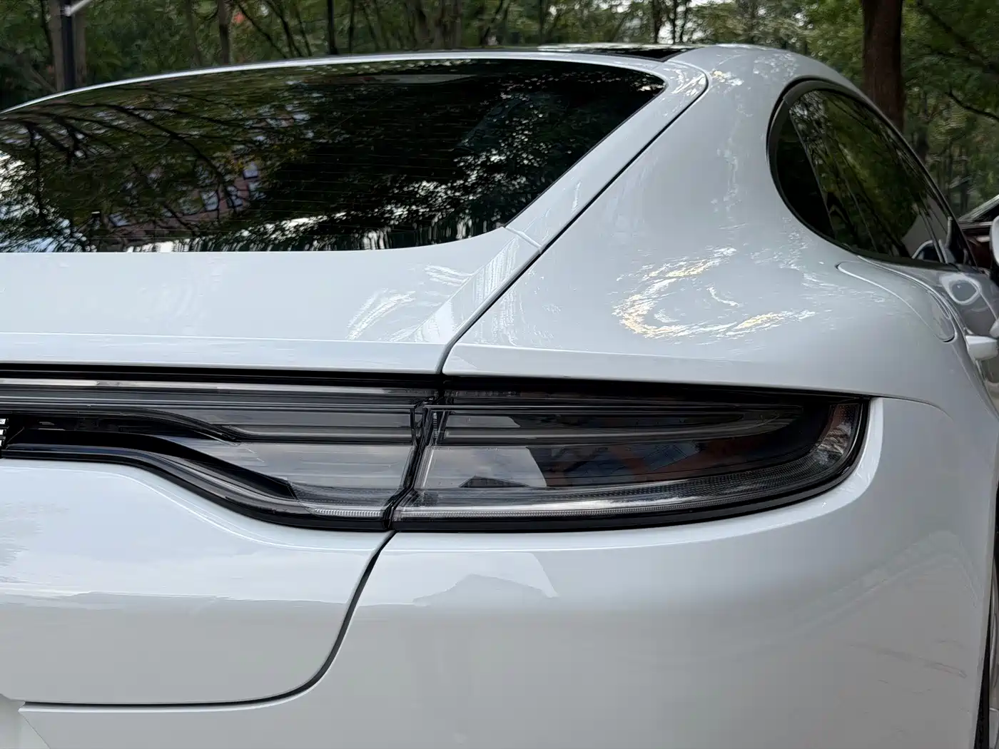  Panamera New Energy