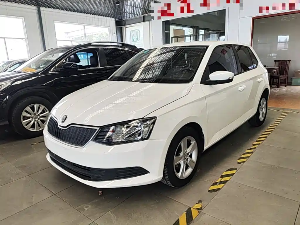 Škoda Fabia 2016 — пригон из Китая