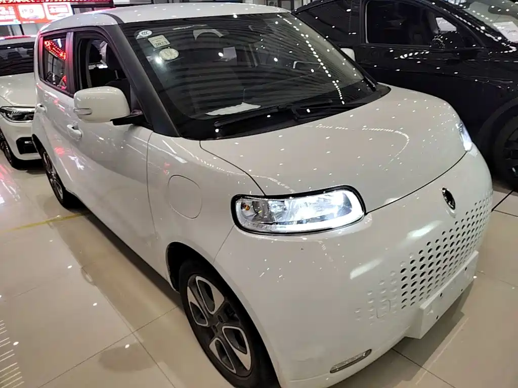 Ora White Cat 2021 2020 305km Luxury