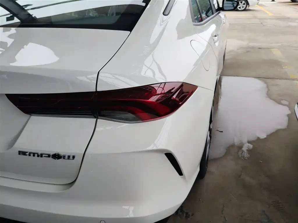 GAC TRUMPCHI SHADOW LEOPARD