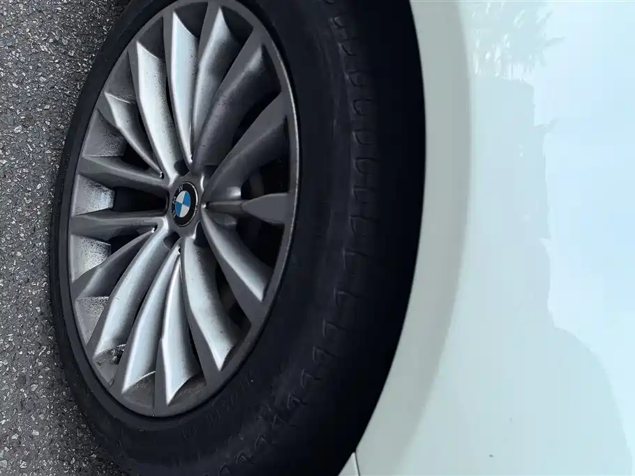 BMW 5 Series 2018 525Li Luxury Package фото 6