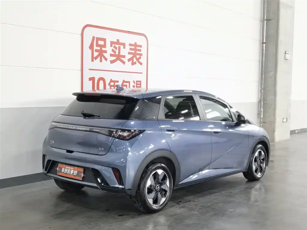 BYD Dolphin 2025 420km Fashion Edition фото 2