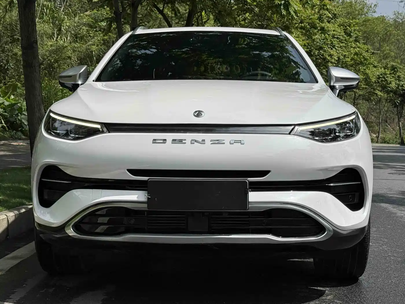 Denza X 2020 Model PHEV Flagship Edition фото 3