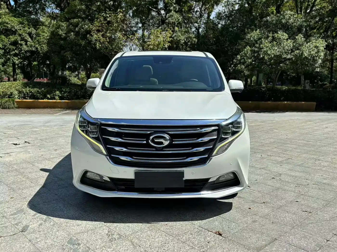 GAC Trumpchi Trumpchi M8 2018 320T Flagship Edition