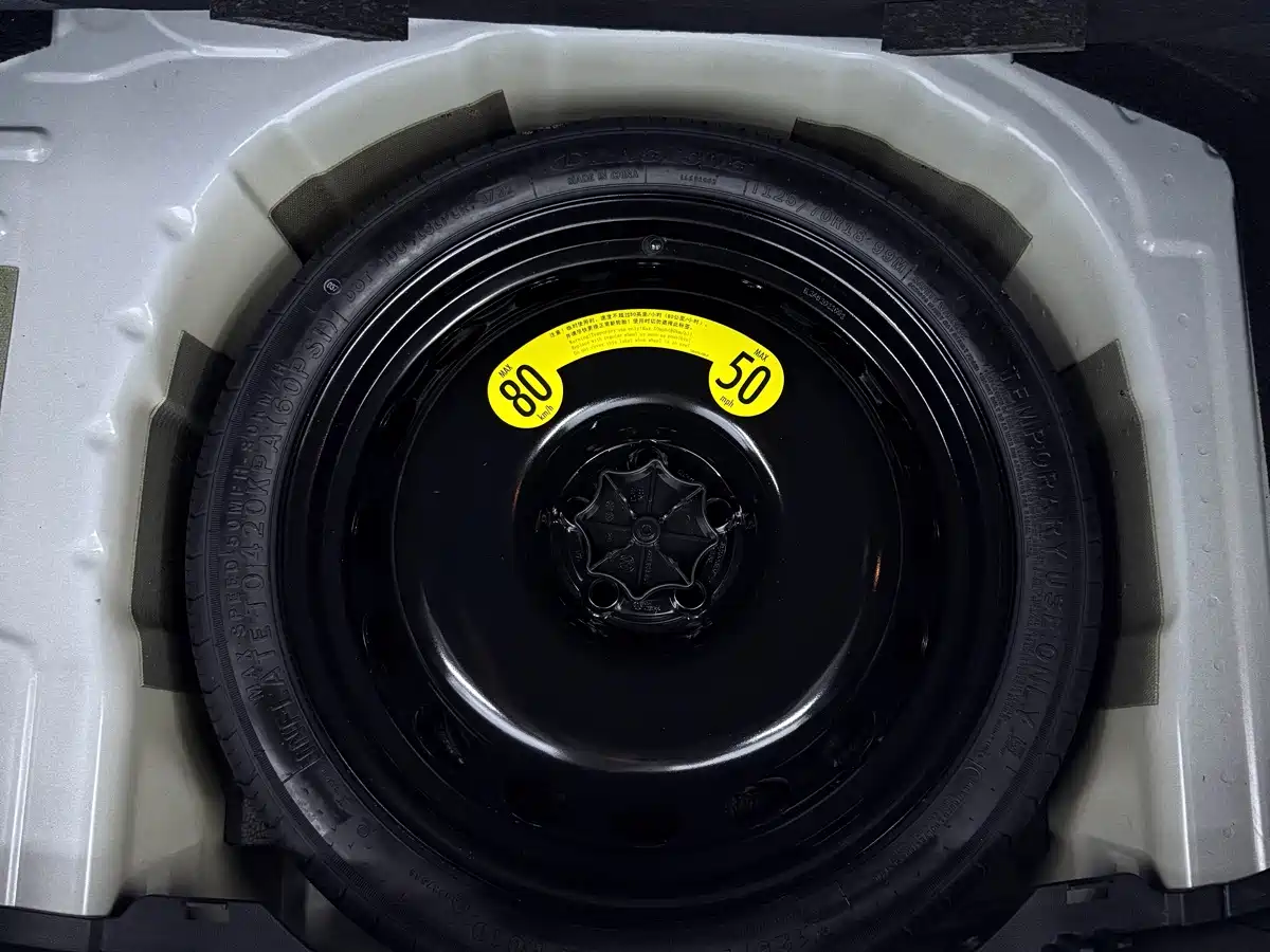 Volkswagen Tanying, миниатюра 17