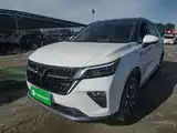 Фото 1 - Wuling Motors Wuling Xingchen