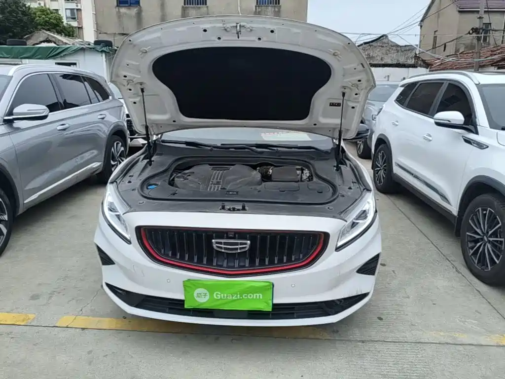 Фото 20 - Geely Borui