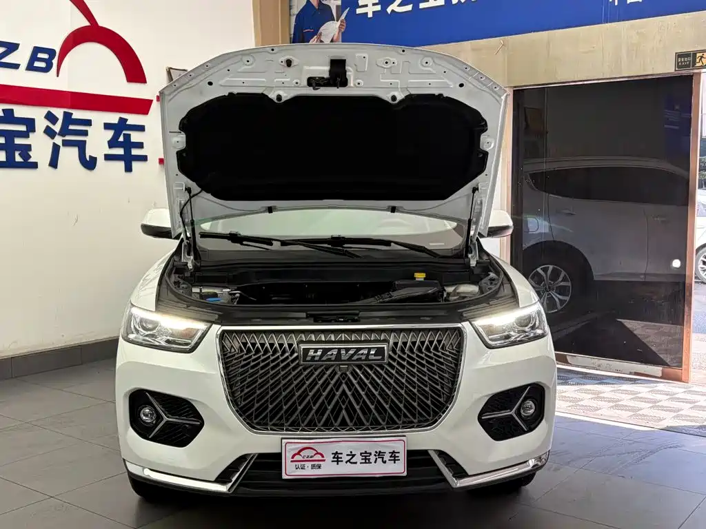 صورة 25 - Haval H6