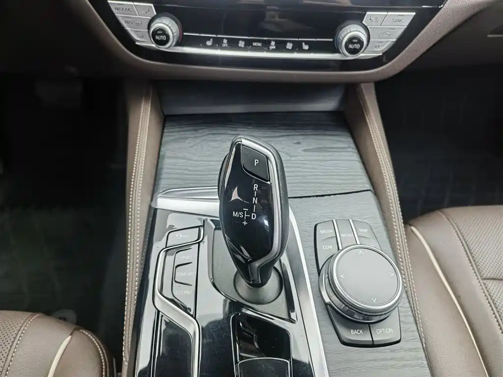 BMW 5 Series 2021 530Li Leading M Sport Package фото 13