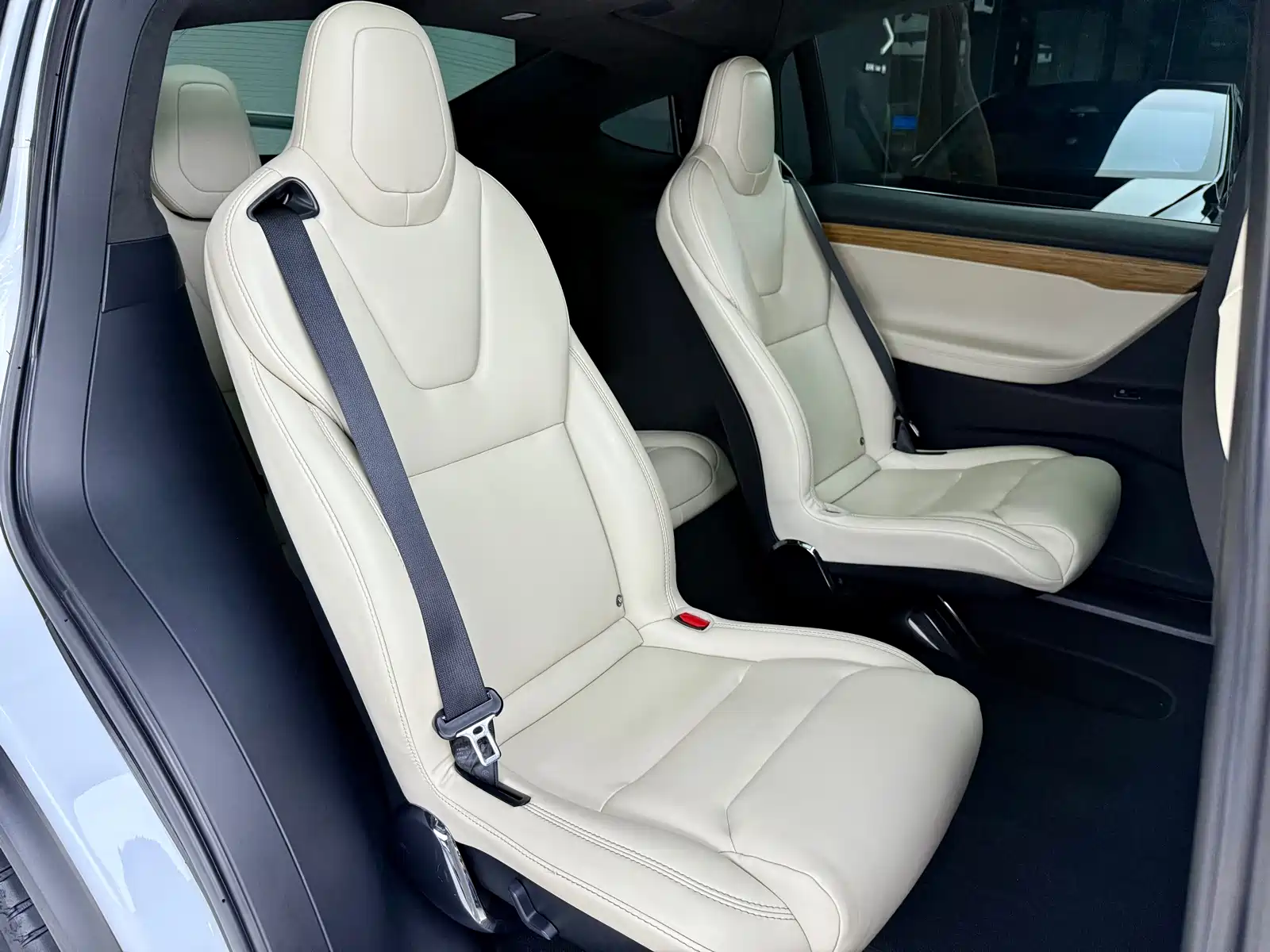 Фото 14 - Tesla Model X