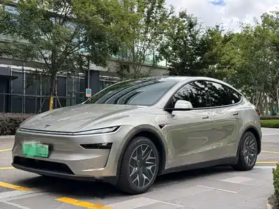 Tesla Model Y L