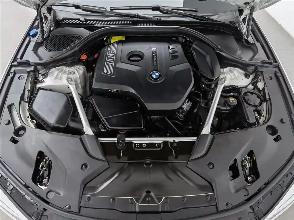 BMW 5 Series 2020 530Li Leading Luxury Package фото 6