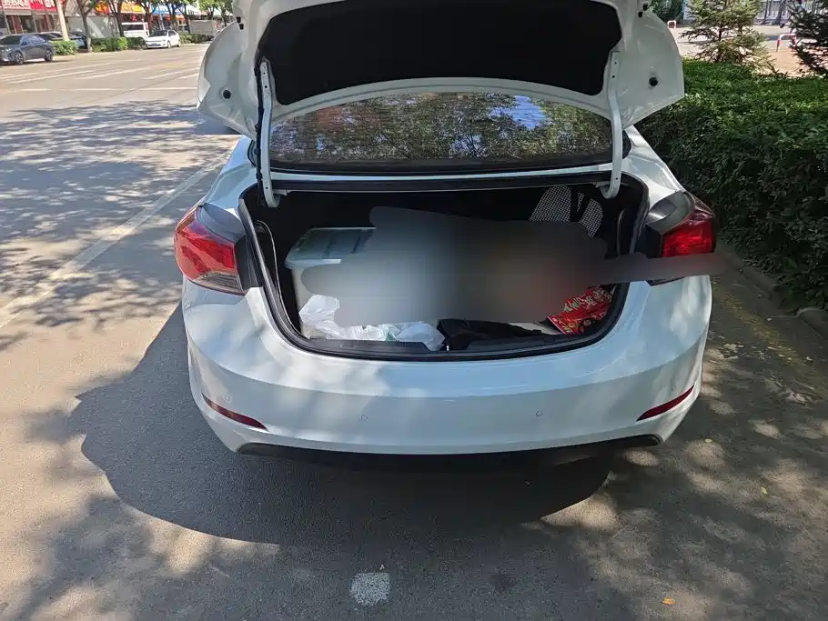 Hyundai Langdong 2017 2016 1.6L Manual Premium Edition