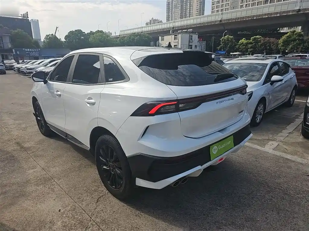 صورة 5 - Dongfeng Fengxing Fengxing T5 EVO