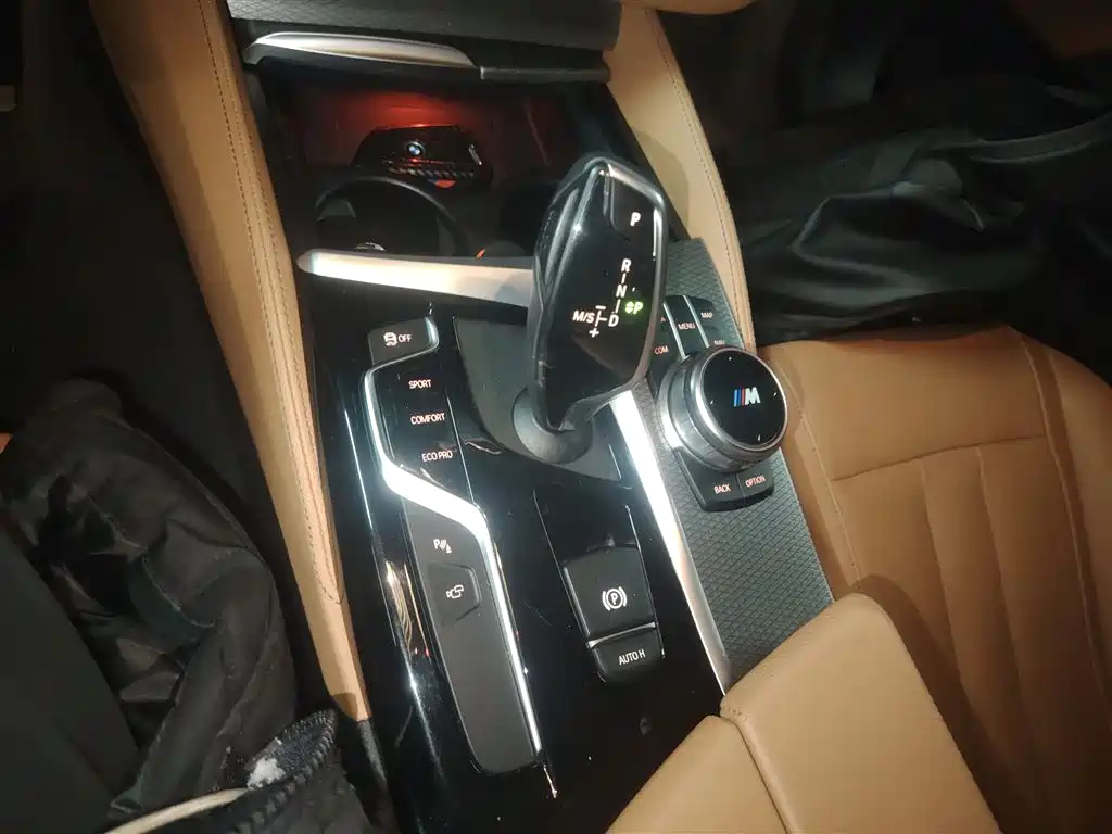 BMW 5 Series 2020 530Li Exclusive M Sport Package фото 10