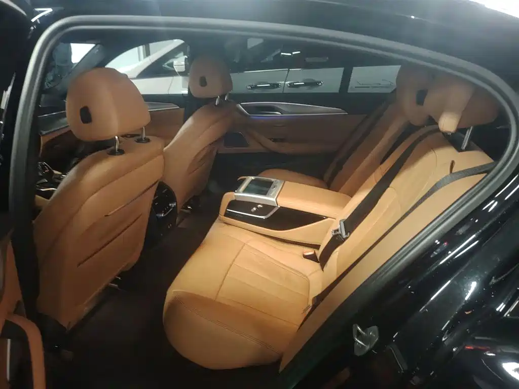 BMW 5 Series 2020 530Li Exclusive M Sport Package фото 13