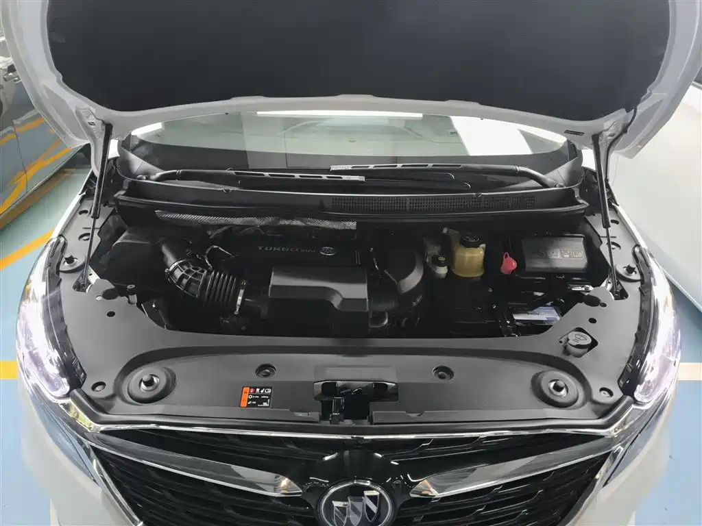 Buick GL8 2021 ES Landlord 653T Premium фото 16