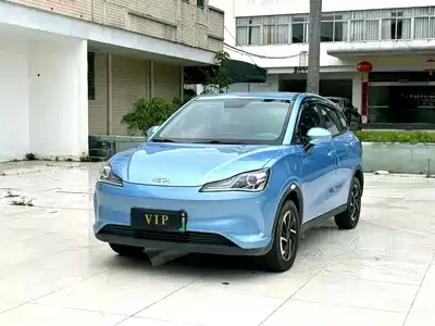 Neta V