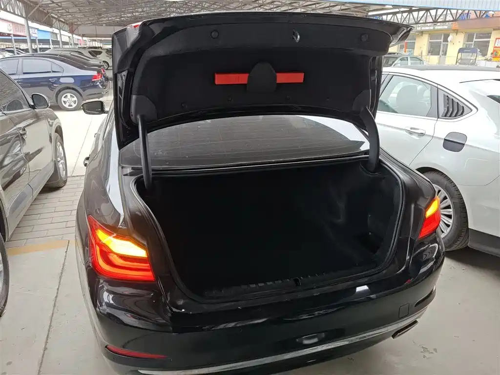 BMW 5 Series 2018 530Li xDrive Luxury Package фото 19