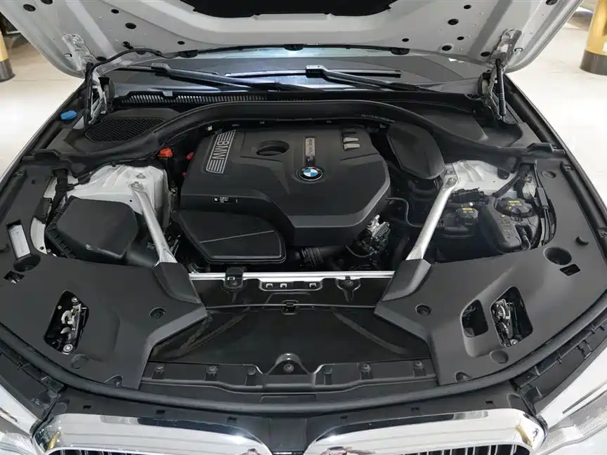 BMW 5 Series 2020 530Li Premium Luxury Package фото 8