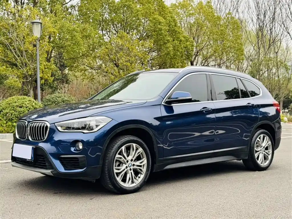 BMW X1 2019 sDrive20Li Leading Model фото 2