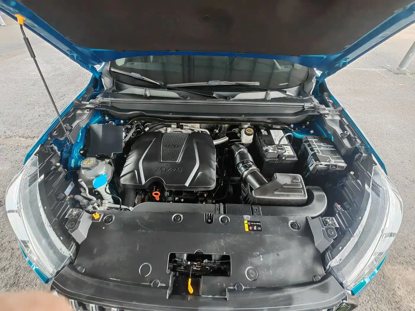 Haval Chitu 2022 2022 Power Edition 1.5T Purple Copper Rabbit
