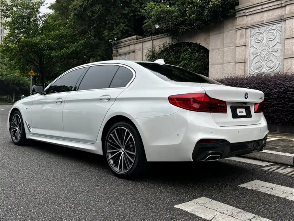 BMW 5 Series 2020 530Li Leading M Sport Package фото 13