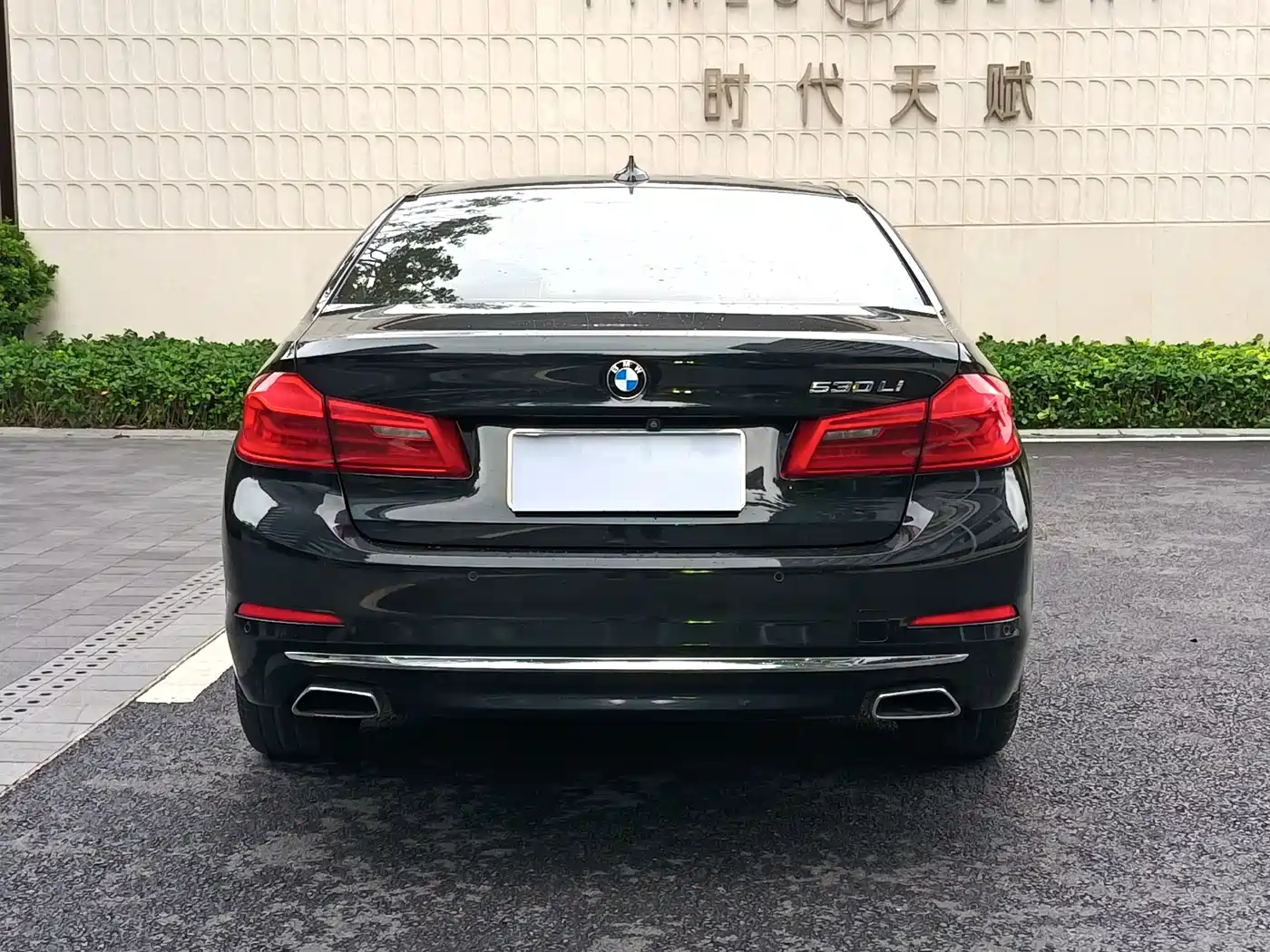 BMW 5 Series 2019 530Li Leading Luxury Package фото 5