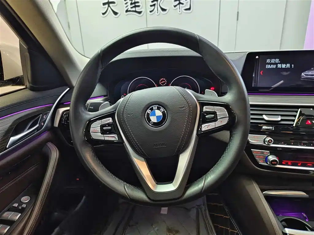 BMW 5 Series 2019 530Li Leading Luxury Package фото 14